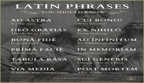 A Profile Of A Latin Beauty